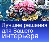 Баннер