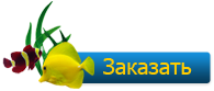 Заказать